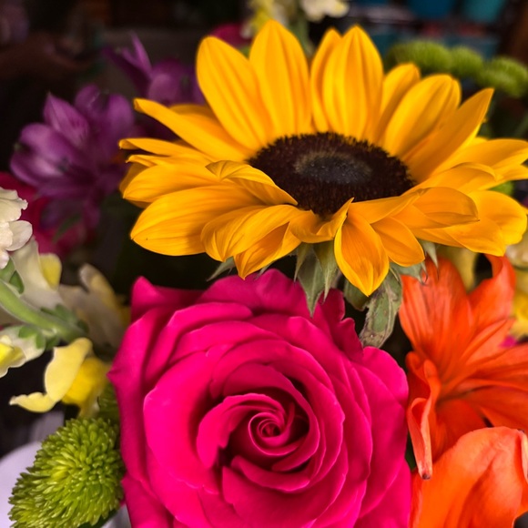 Meet your Posher, Cynthia - Picture 6 of 6